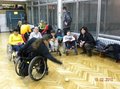 Gramy w Boccia
