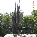 DSCN7286