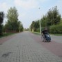 IMG 1916