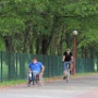 IMG 3718