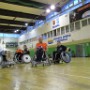 IMG 1152