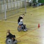 IMG 2494