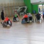 IMG 2585