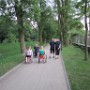 IMG 2661