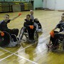 IMG 5445