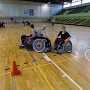 DSCN0293